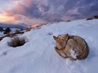 Favorite photo of the day from NatGeo's best of July 2012? 